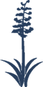 El Club de Mirabel